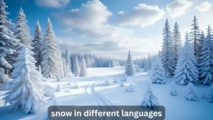 snow in different languages