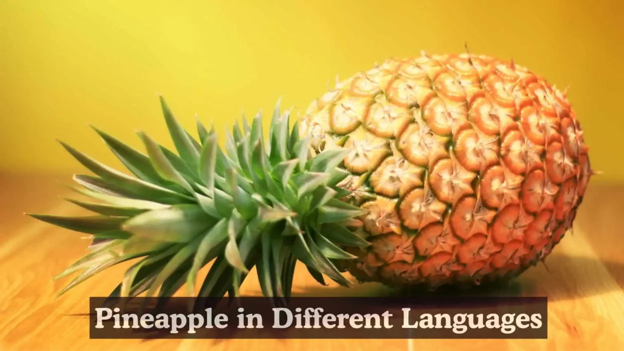 Pineapple in Different Languages