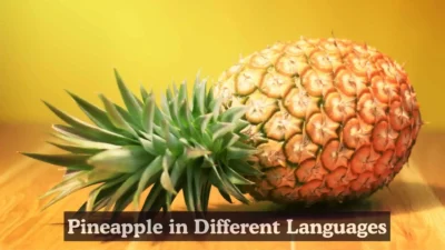Pineapple in Different Languages