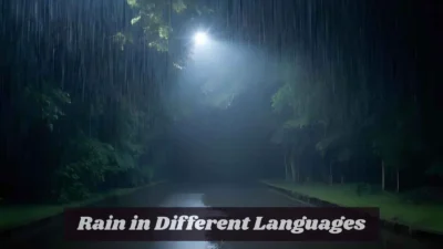 Rain in Different Languages