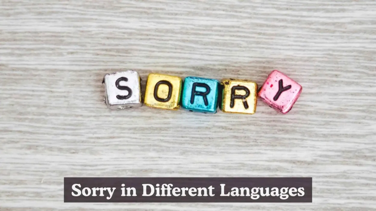 Sorry in Different Languages