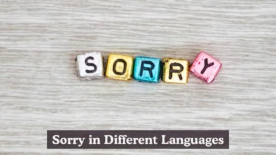 Sorry in Different Languages