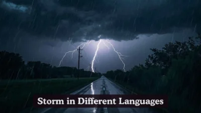 Storm in Different Languages