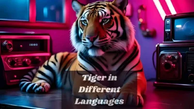 Tiger in Different Languages