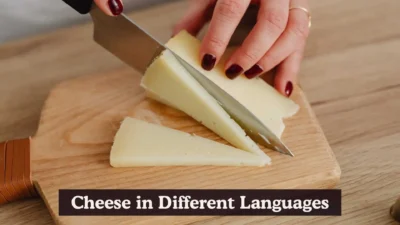 Cheese in Different Languages
