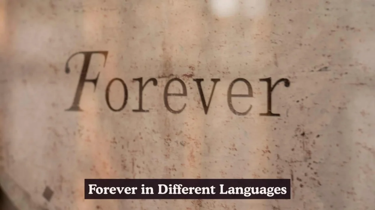 Forever in Different Languages