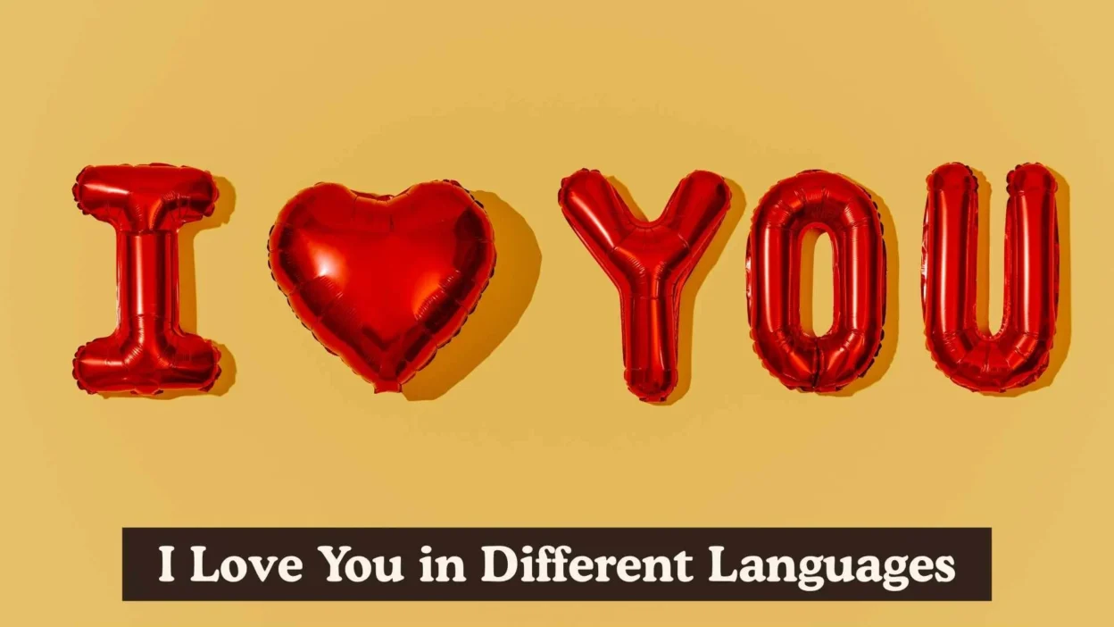 I Love You in Different Languages