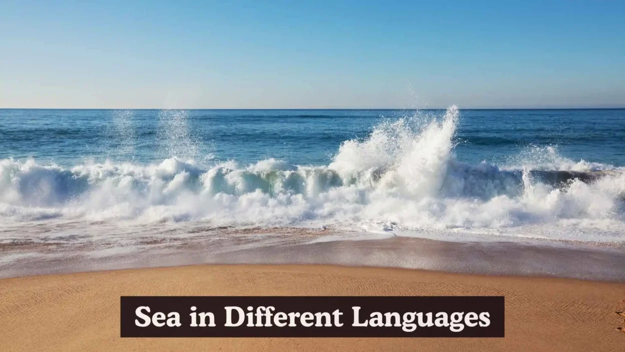 Sea in Different Languages