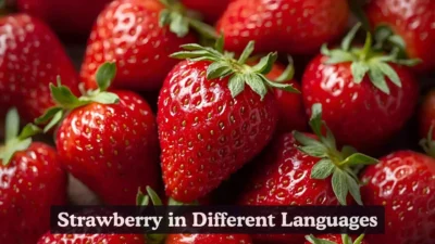 Strawberry in Different Languages