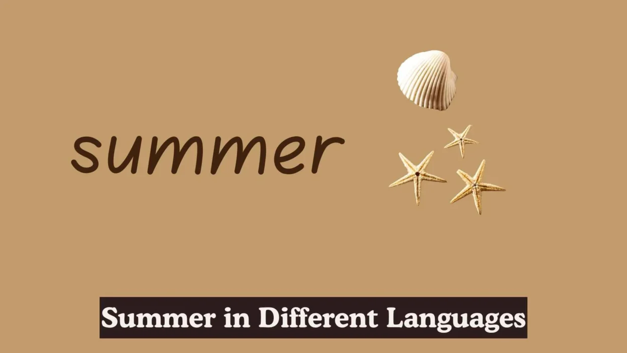 Summer in Different Languages