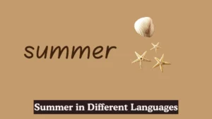Summer in Different Languages
