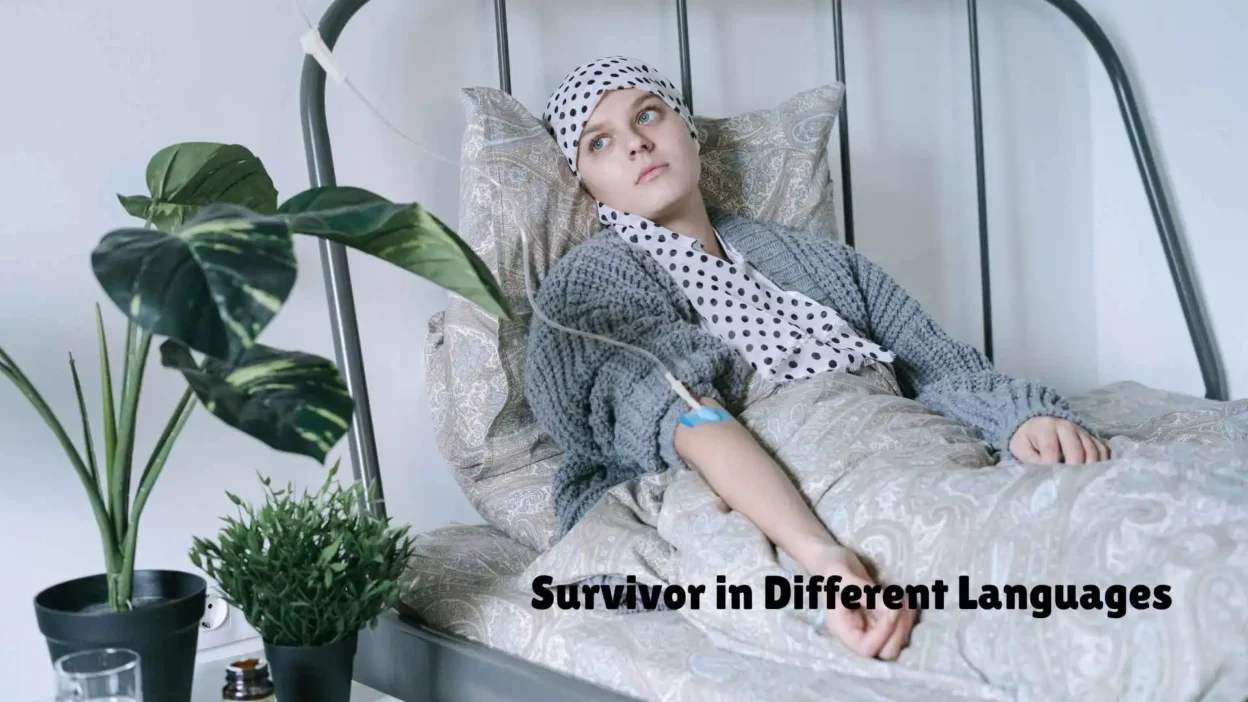 Survivor in Different Languages