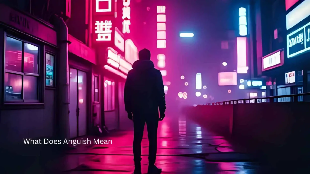 What Does Anguish Mean