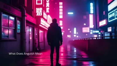 What Does Anguish Mean