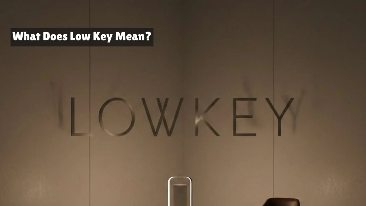 What Does Low Key Mean