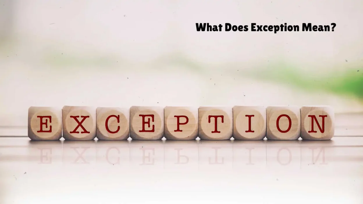 What Does Exception Mean