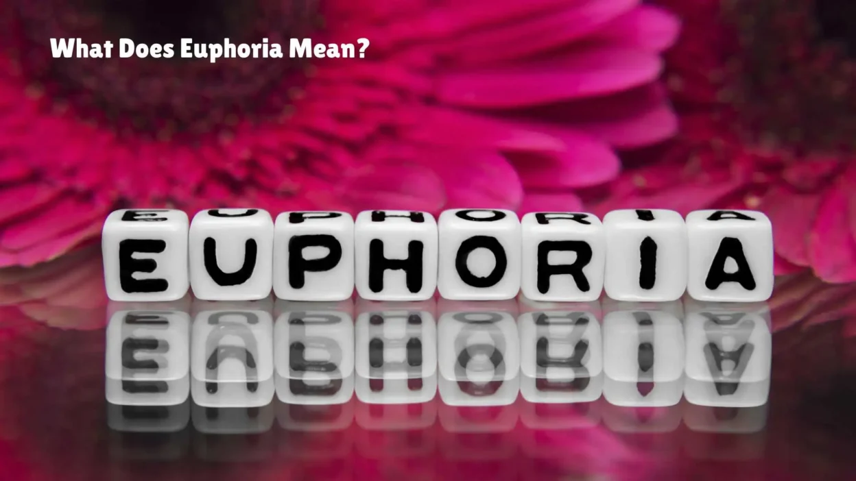 What Does Euphoria Mean