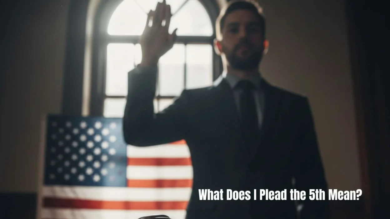 What Does I Plead the 5th Mean