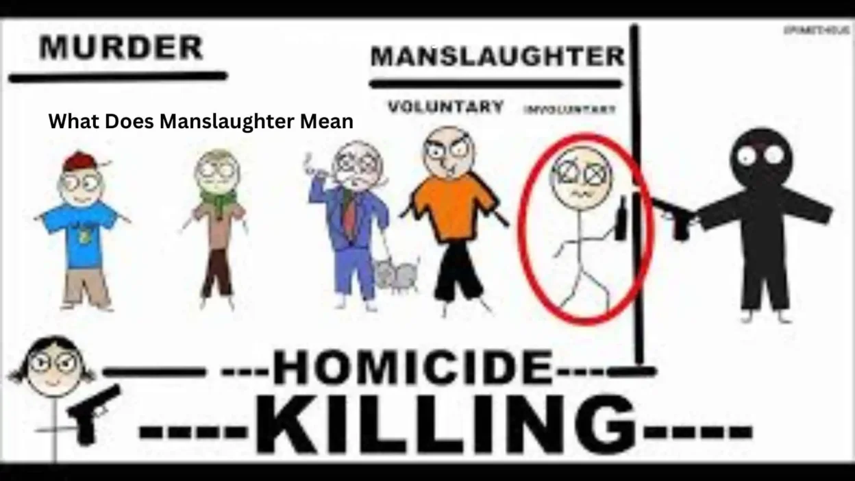 what does manslaughter mean