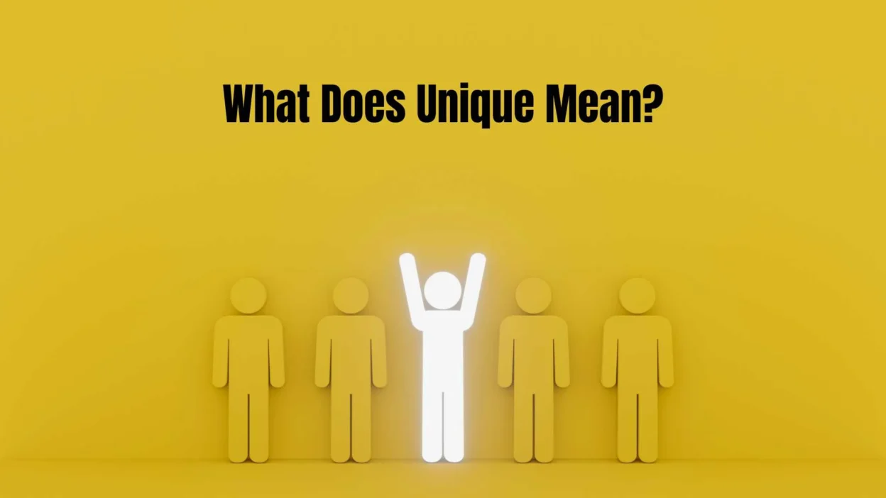 What Does Unique Mean