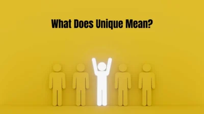 What Does Unique Mean